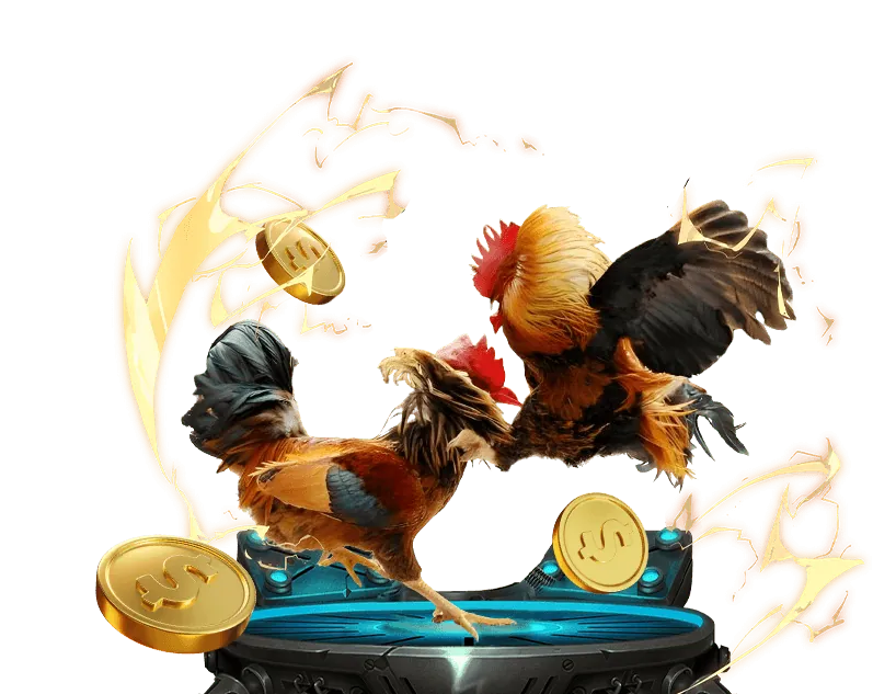 Hoàn Trả Hàng Ngày/Tuần